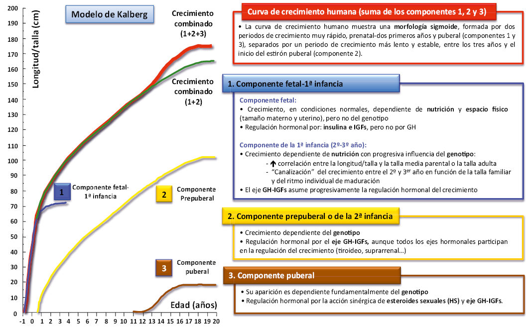 crecimiento definicion y concepto explicado claramente
