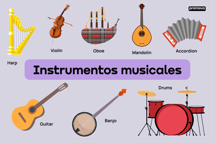 cuales son 30 ejemplos esenciales de instrumentos de cuerdas