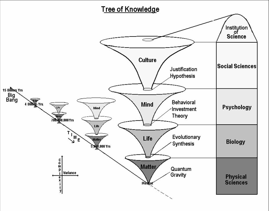 cuales son el concepto caracteristicas y ramas de las ciencias 1