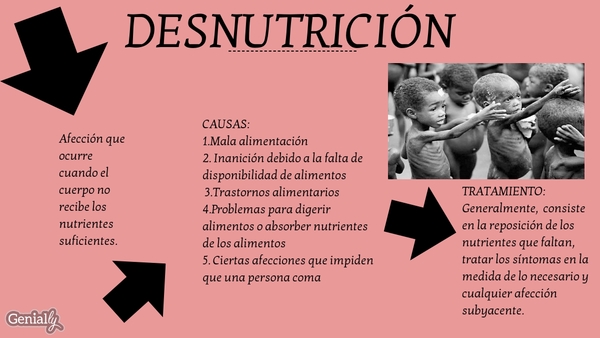 cuales son las causas y sintomas de la desnutricion