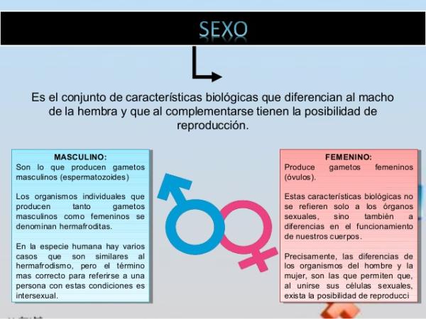 cuales son las diferencias entre mujer y hombre 1