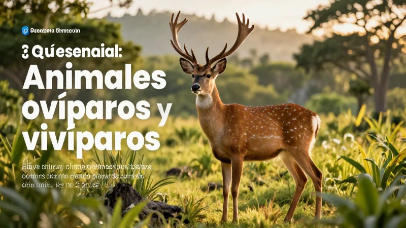 Guía esencial: Animales ovíparos y vivíparos. Conoce y aprende más 3 Son animales que nacen vivos de la madre