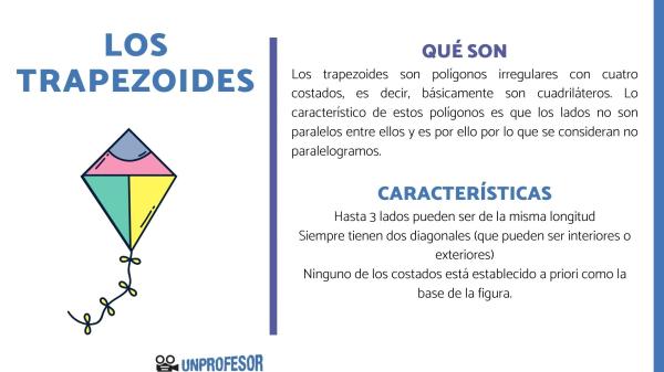 cuales son los trapezoides definicion y caracteristicas