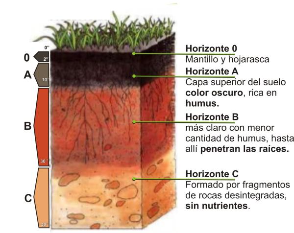 cuales son propiedades funciones y tipos del suelo