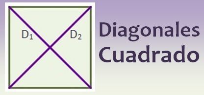 cuantas diagonales tiene un cuadrado y despeja tus dudas matematicas