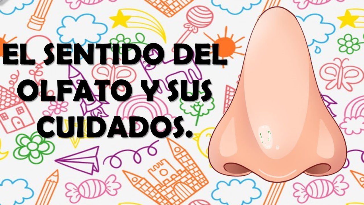 cuida tu olfato con divertidos dibujos descubre los mejores consejos