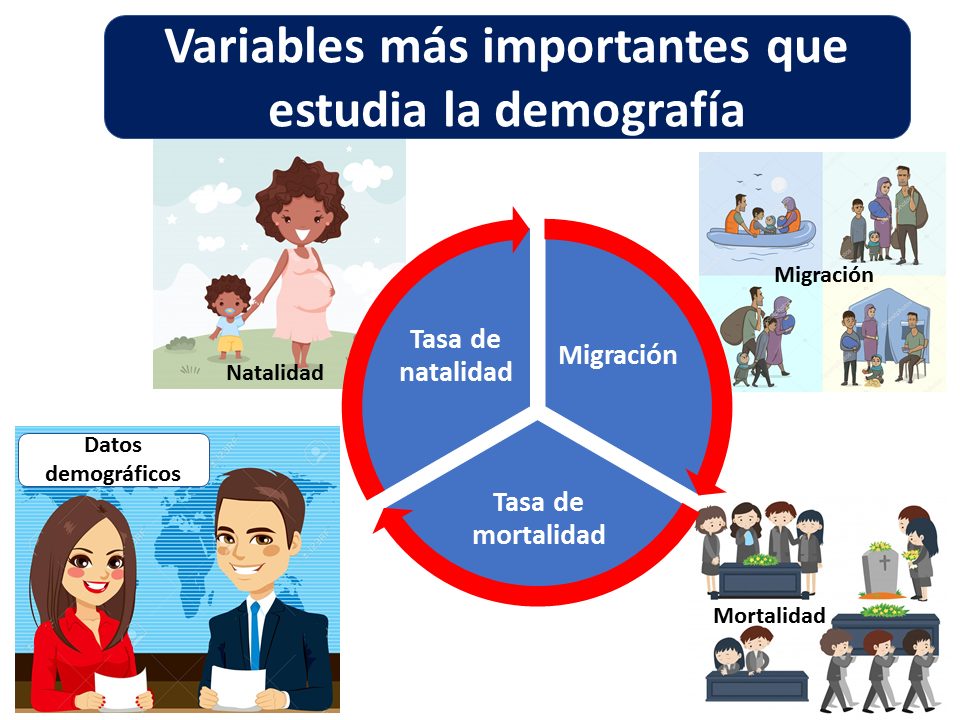 datos demograficos conoce las caracteristicas clave de la poblacion