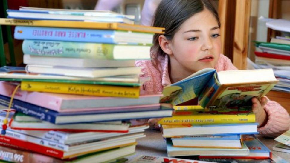 desafios y cambios en los libros de primaria un panorama inquietante