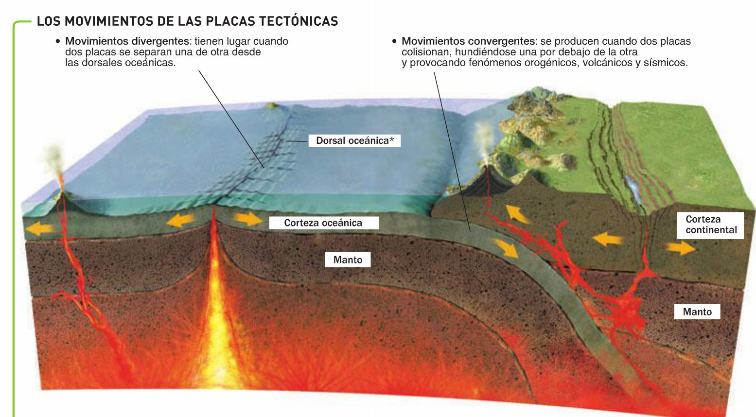 descubre placas tectonicas y su impacto en la tierra