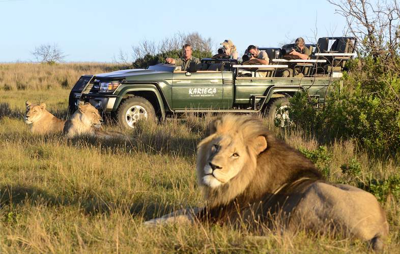 destinos conoce explora la vida silvestre en su habitat natural