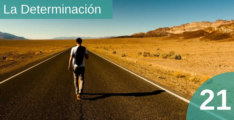 determinacion definicion importancia y concepto esencial
