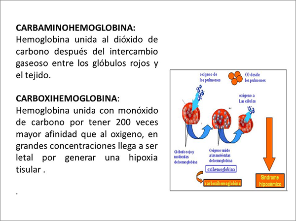 Dióxido de Carbono: Fórmula, Propiedades y Características 2 dioxido de carbono formula propiedades y caracteristicas 2
