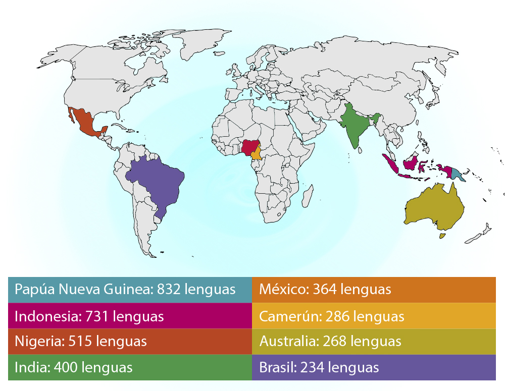 diversas culturas explorando tipos y variedades del mundo 3