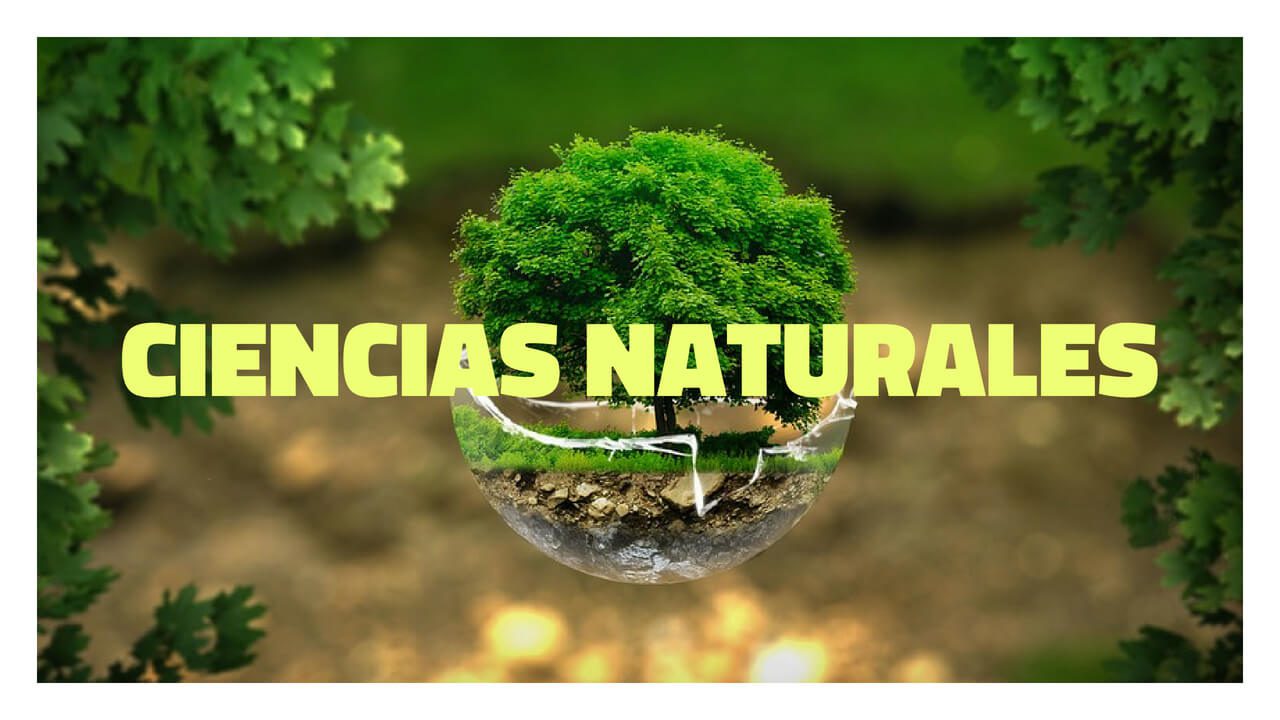 domina ciencias naturales y triunfa en tus estudios descubre respuestas clave