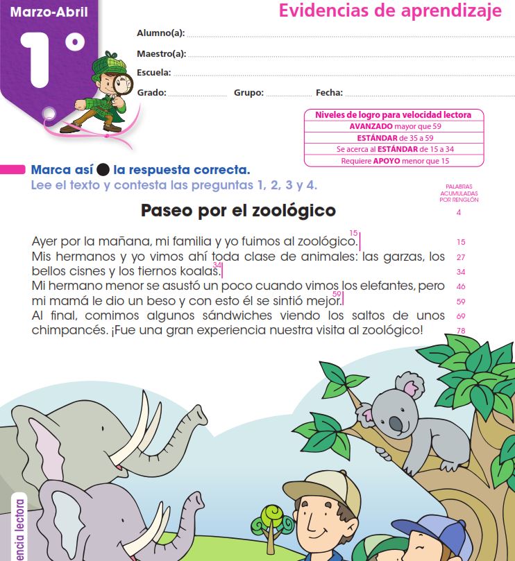 domina los examenes montenegro 2022 de primaria con nuestros recursos y consejos