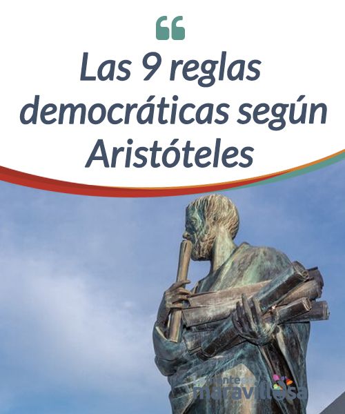 domina tus responsabilidades democraticas descubre las claves eficaces