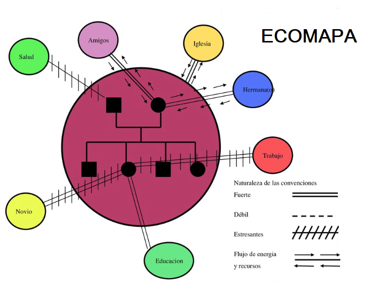 ecomapa definicion concepto y su utilidad en analisis