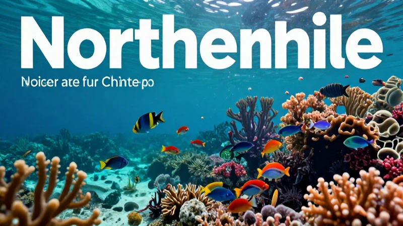 Ecosistema marino: qué diversidad tiene el norte de Chile 7 Marino vibrante del norte de Chile con vida diversa