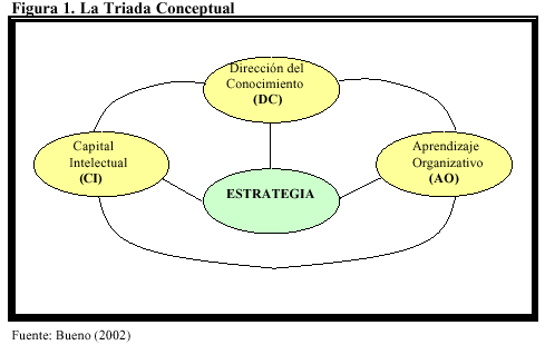 eficiencia concepto acepciones y caracteristicas clave