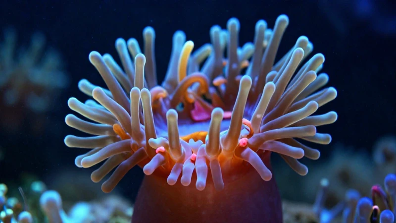 Anémonas asexuales con bioluminiscencia en entornos detallados