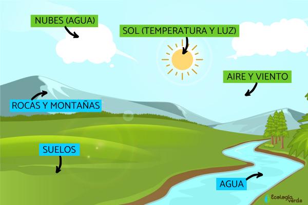 Ejemplos de factores abióticos en la naturaleza y su impacto 2 ejemplos de factores abioticos en la naturaleza y su impacto