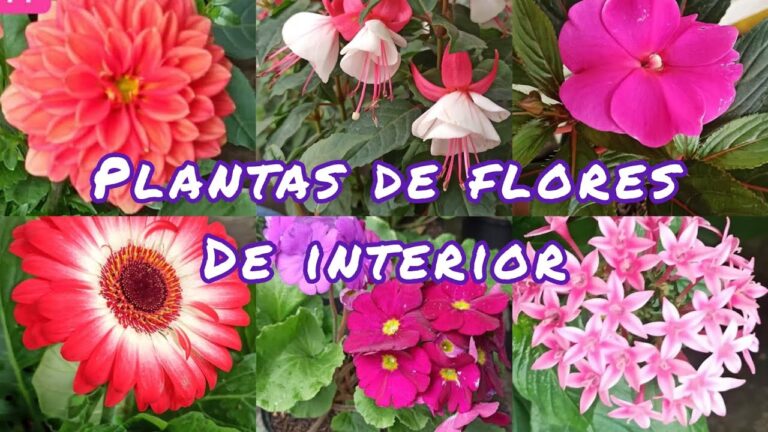 ejemplos del reino vegetal 10 plantas impresionantes 3
