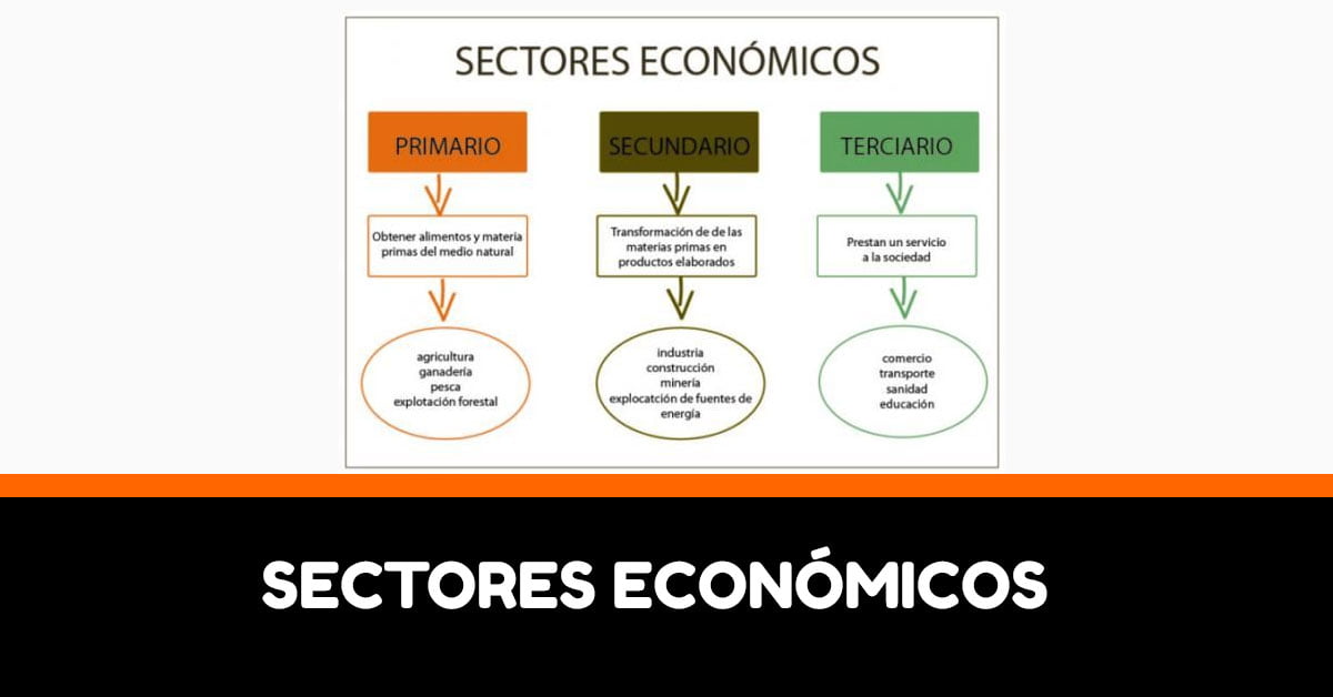 ejemplos del sector secundario en la economia moderna 1