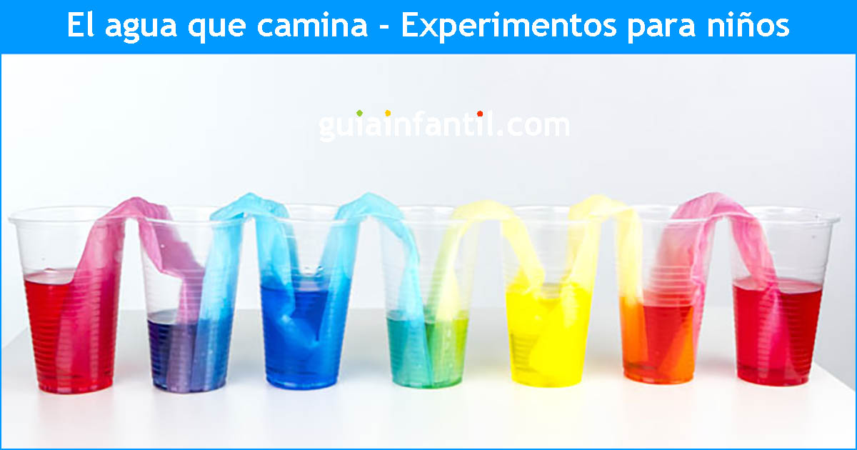 el agua que camina experimento de colores en casa 1