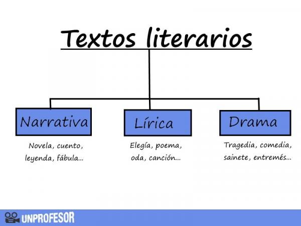 El encanto de los libros de texto literarios: todo lo que debes saber 2 el encanto de los libros de texto literarios todo lo que debes saber