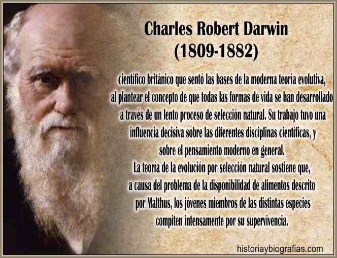 el legado de charles darwin quien fue y su impacto en la evolucion