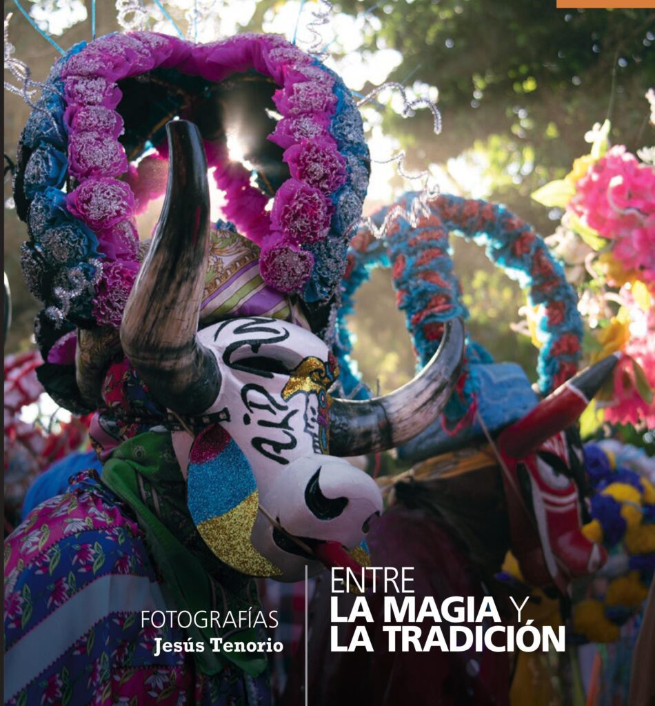 el mejor libro de veracruz historia cultura y tradiciones en uno