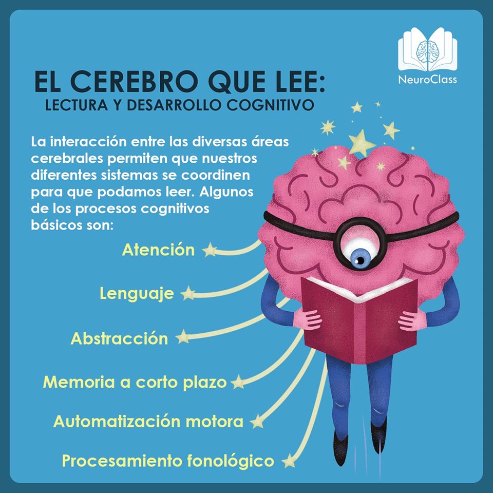 el poder de la lectura en tu cerebro secretos revelados