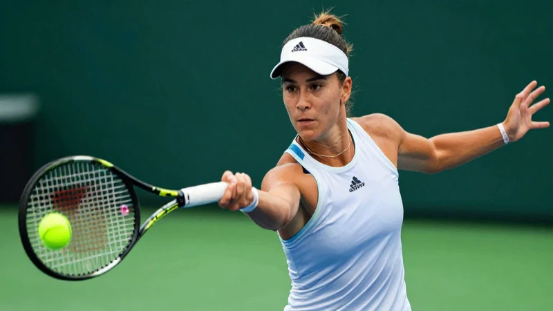 El Voleo: Definición y Concepto Esencial en Deportes 4 Estudio del voleo en tenis