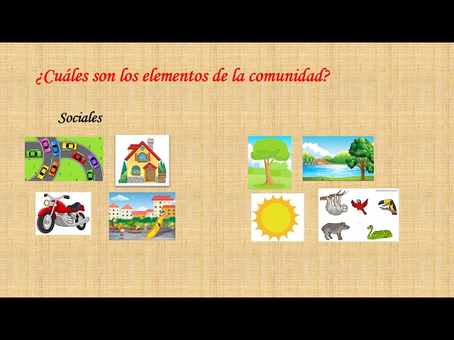 elementos de la comunidad que es tipos y caracteristicas