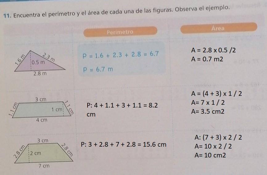 escribe el perimetro de cada seccion guia practica