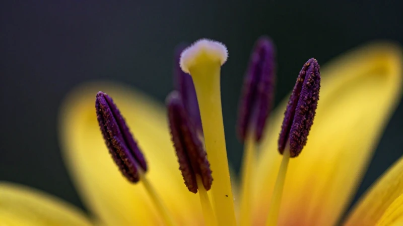 Análisis macro de las estambres florales