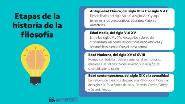 etapas definicion concepto y usos en diversos