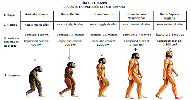 evolucion humana especies teorias y sus caracteristicas