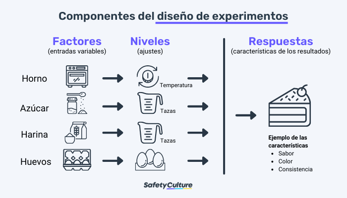 experimento concepto objetivos tipos y ejemplos clave
