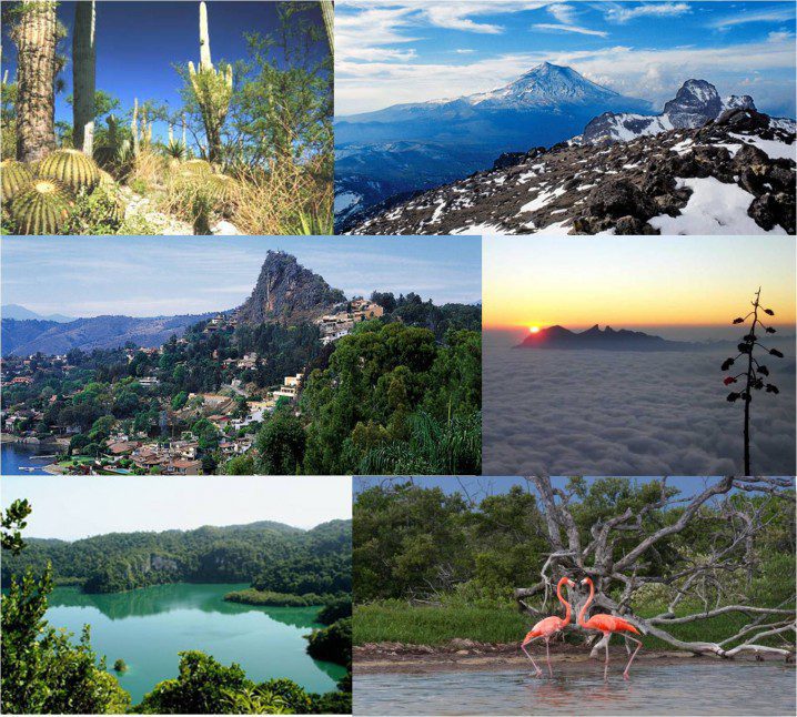 explora la diversidad de las regiones naturales con ejemplos mejores
