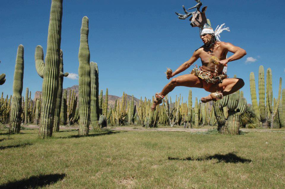 explora sonora historias tradiciones y lugares imperdibles