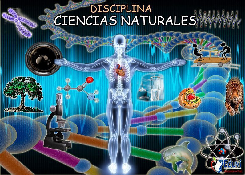 explora y aprende en las conoce paginas de ciencias naturales