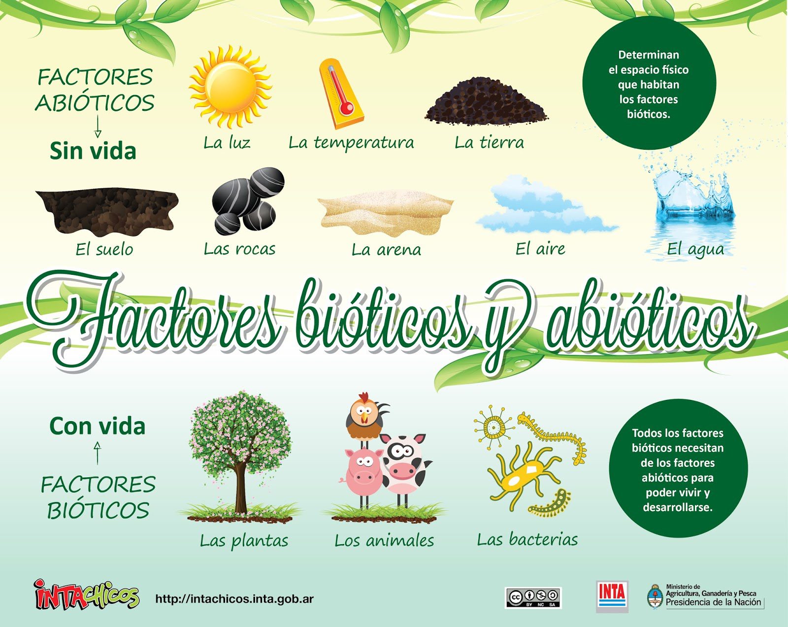 Factores de la biología: descubre su influencia en la naturaleza 2 factores de la biologia descubre su influencia en la naturaleza