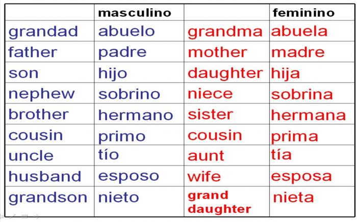 familia de las palabras 50 ejemplos clave para entender