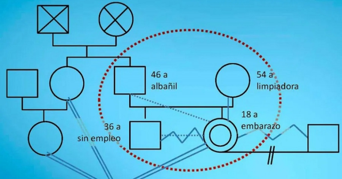 Familiograma: Qué es, simbología, cómo hacer y ejemplos 2 familiograma que es simbologia como hacer y ejemplos 1