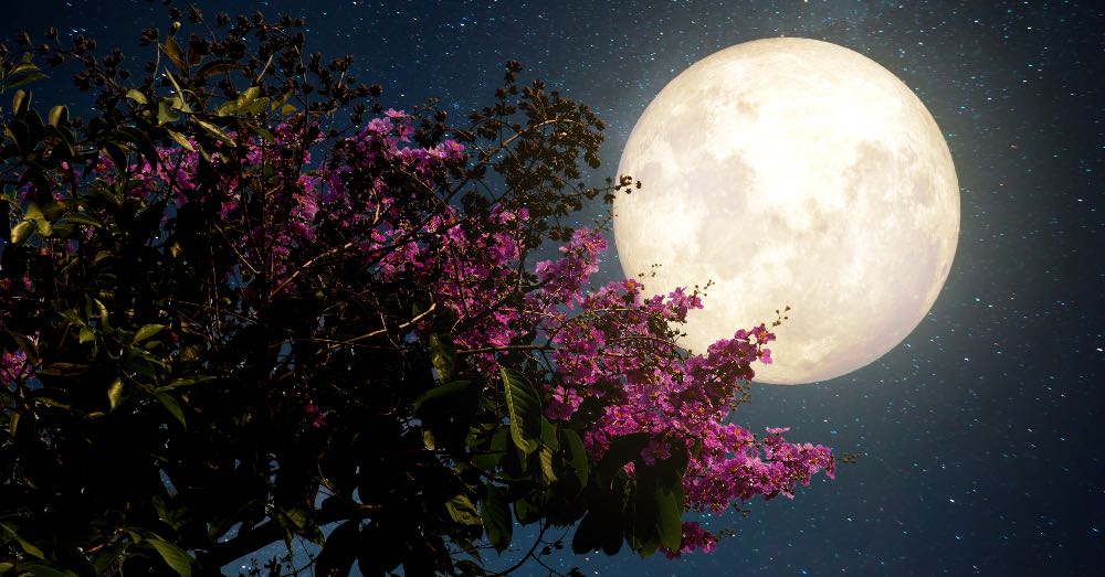 Fase de la Luna: Descubre sus Místicos Ciclos y Efectos 2 fase de la luna descubre sus misticos ciclos y efectos