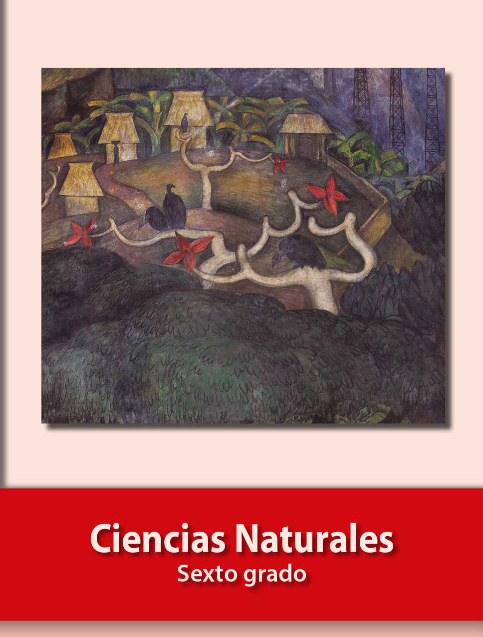 fomenta el pensamiento critico con libros de ciencias naturales sep