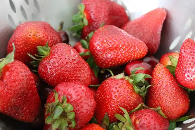 fresa definicion propiedades y usos del fruto rojo