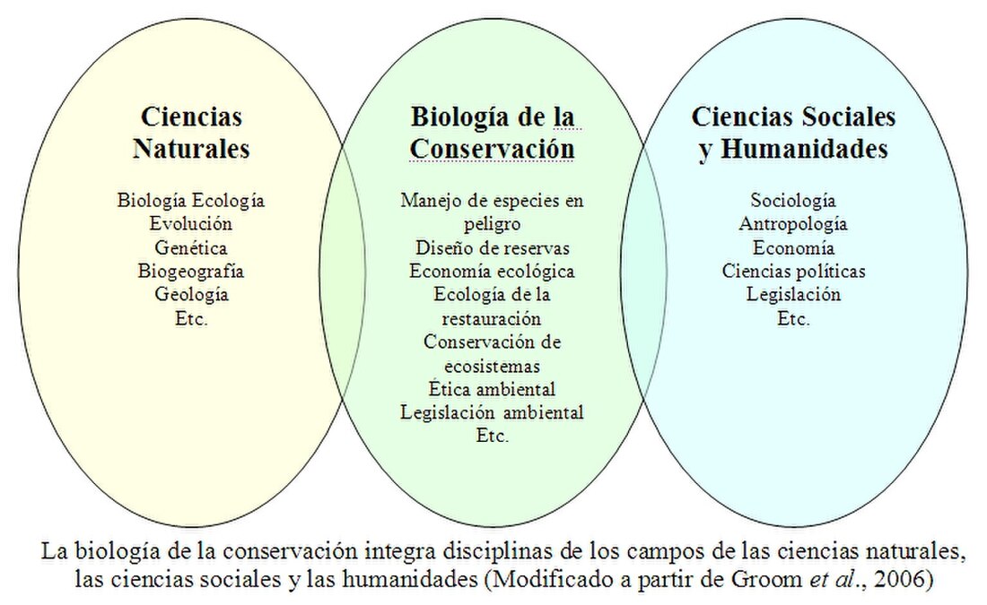 Genética: Qué es, tipos, importancia e historia revelada 2 genetica que es tipos importancia e historia revelada 1