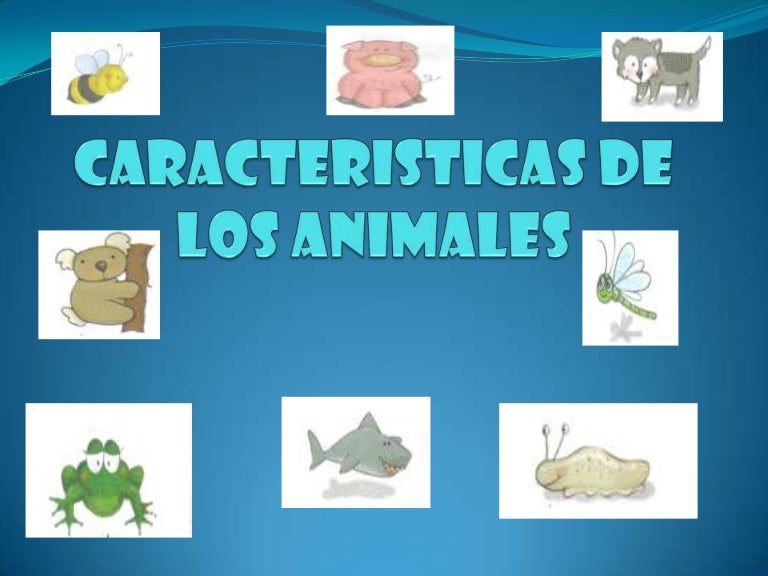 guia completa conoce las conoces caracteristicas de los animales
